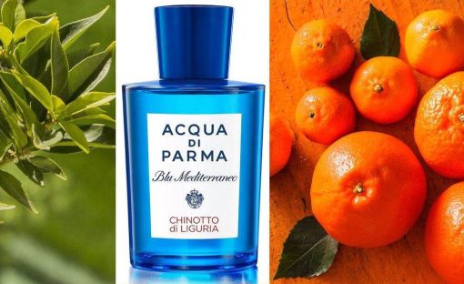 ادو تویلت مردانه آکوا دی پارما سری Blu Mediterraneo مدل Chinotto Di Liguria