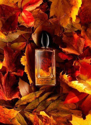 تفاوت عطر سرد و گرم