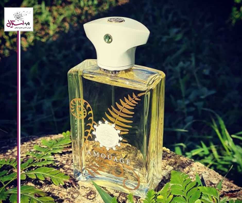 عطر مردانه آمواج براکن من حجم 100 میلی لیتر |AMOUAGE – Bracken Man 