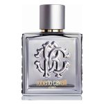 قیمت و خرید roberto cavalli Uomo Silver Essence حجم 100 میل