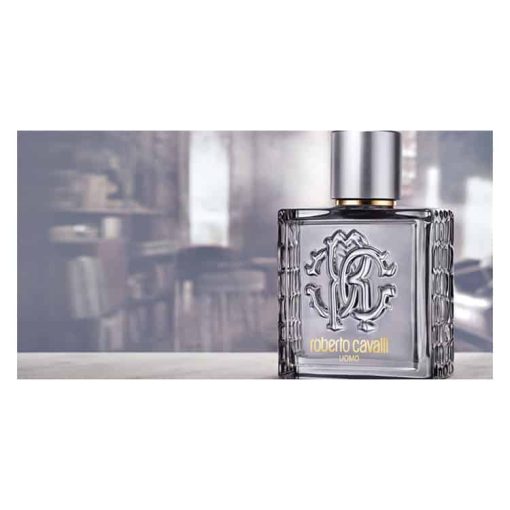 قیمت و خرید roberto cavalli Uomo Silver Essence حجم 100 میل