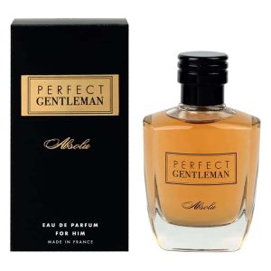 خرید Art and Parfum Perfect Gentleman Absolu با بادی اسپلش