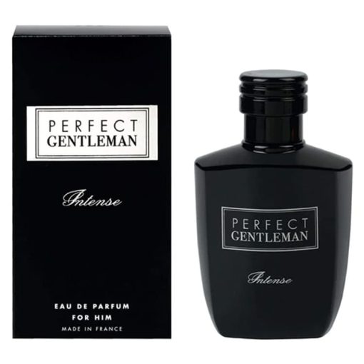 خرید Art and Parfum Perfect Gentleman Intense با Freestyler