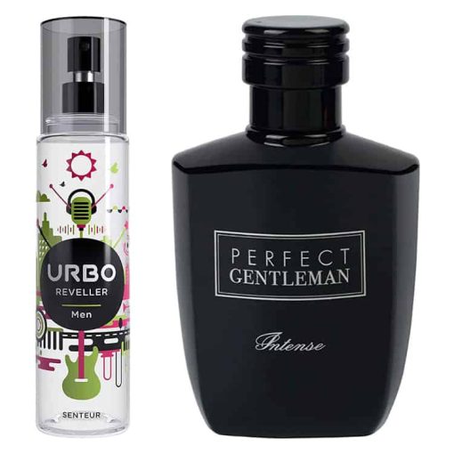 خرید Art and Parfum Perfect Gentleman Intense با Reveller