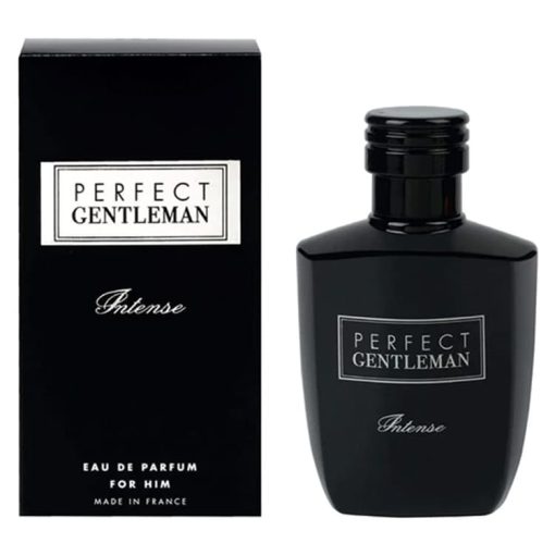 خرید Art and Parfum Perfect Gentleman Intense با Reveller