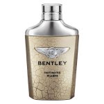 خرید ادو تویلت مردانه BENTLEY Infinite Rush حجم 100 میل